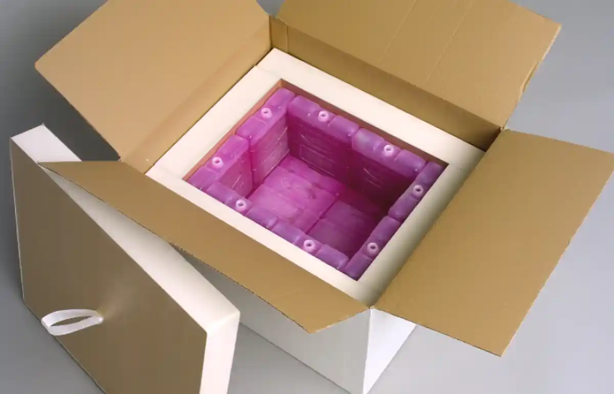 Cold Chain Shipping Guide: Ensuring the Quality and Safety of Perishable Goods