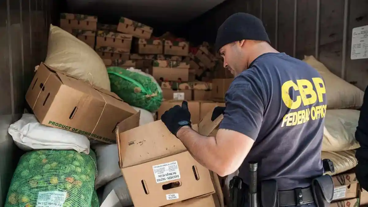 What is Customs Clearance and Its Role in Facilitating International Trade?