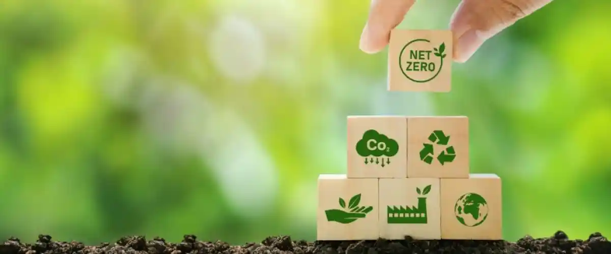 Purpose and Scope of Environmental Regulations